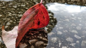 Καιρός: Βροχές, καταιγίδες και ισχυροί νοτιάδες σήμερα Δευτέρα