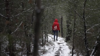 Μήδεια: Σε εξέλιξη ο χιονιάς- Ποιες περιοχές “ντύνονται” στα λευκά