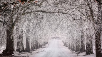 «Μήδεια»: Έρχεται ισχυρή κακοκαιρία με καταιγίδες και χιόνια
