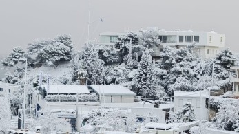 Μαύρη αντιπολίτευση σε λευκό φόντο Μαύρη αντιπολίτευση σε λευκό φόντο