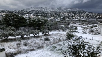 Το Πόρτο Ράφτη φόρεσε τα «λευκά» του –Όμορφες εικόνες από το χιόνι