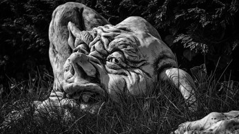 Το τέρας του αυριανισμού