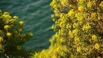 Αίθριος ο καιρός σήμερα Τσικνοπέμπτη