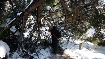 Αποχωρεί σιγά-σιγά η “Μηδεία”-Σταδιακή άνοδος της θερμοκρασίας από αύριο