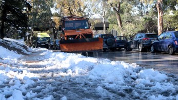 Αποζημίωση για ζημιές από πτώση δέντρων σε αυτοκίνητα-Τι ισχύει