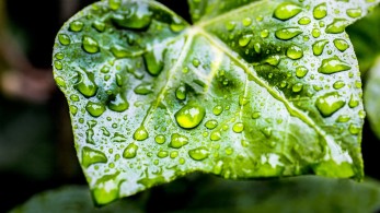 Καιρός: Με βροχές, καταιγίδες και χιονοπτώσεις φεύγει ο Μάρτης