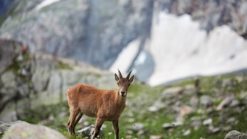 Εξισωτική: Χορηγούνται ενισχύσεις σε όσους αποκλείονταν από την οριοθέτηση του 2019