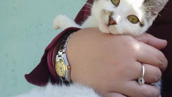 Φρίκη σε σχολείο της Κρήτης – Μαθητές σκότωσαν γατάκι (Σκληρές εικόνες)