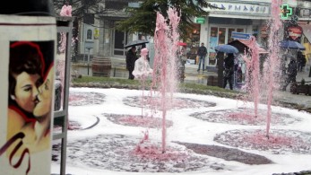 Το ξινόμαυρο γίνεται παγκόσμιο