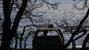 Εφέτης ανακριτής αναλαμβάνει τη δικογραφία για την τραγωδία στο Μάτι