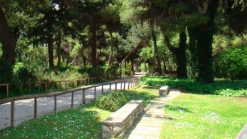 Ανοίγει για το κοινό ο ιστορικός Βοτανικός Κήπος του ΕΚΠΑ