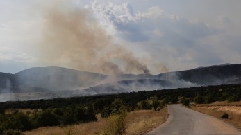 Πυρκαγιά στην Καμηλόβρυση Λαμίας – Καίει χαμηλή βλάστηση