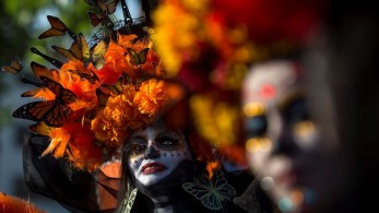 Μέρα των Νεκρών-Μεξικό: Ένας πελώριος σκελετός στη μέση ενός δρόμου (pics)