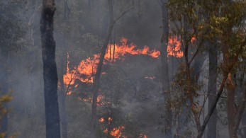 Σε κατάσταση «επείγουσας ανάγκης» το Σίδνεϊ λόγω των πυρκαγιών