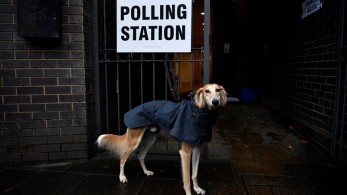Βρετανικές εκλογές: Πήγαν να ψηφίσουν παρέα με τα ζώα τους