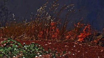 Υπό έλεγχο η φωτιά στο Βαρικό Φλώρινας