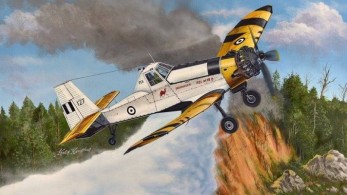 Φωτιά σε δασική έκταση στην Κέρκυρα