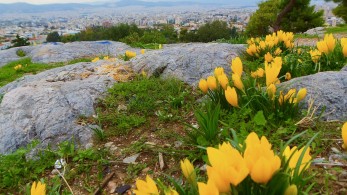 Η αλλαγή ώρας και οι συνέπειές της στην ψυχική και σωματική σφαίρα
