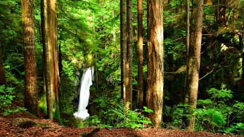 Παγκόσμια Ημέρα της Γης: Μόλις το 2,8% των οικοσυστημάτων παραμένει ανέπαφο