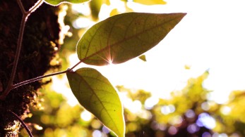 Καιρός: Σε άνοδο η θερμοκρασία-Τοπικές βροχές στα βόρεια