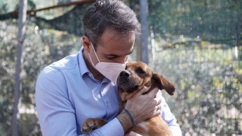 Μητσοτάκης: Η προστασία των ζώων είναι θέμα πολιτισμού