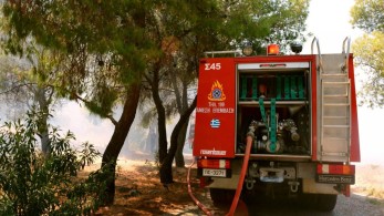 Φωτιά σε δασική έκταση στην Ηλεία