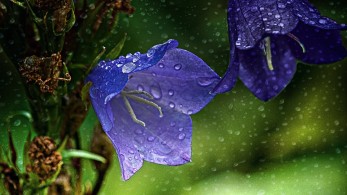 Νεφώσεις, βροχές και καταιγίδες σε Μακεδονία και Θράκη