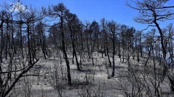 Γεράνεια Όρη: Το Ευρωπαϊκό ταμείο περιμένει την Ελλάδα