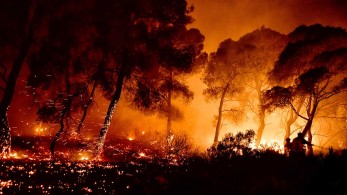 Φωτιά στον Σχίνο Κορινθίας: Προληπτική εκκένωση και στο Αλεποχώρι