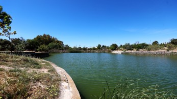 Περιφέρεια Αττικής: Το Πάρκο Τρίτης συνεχώς αναβαθμίζεται