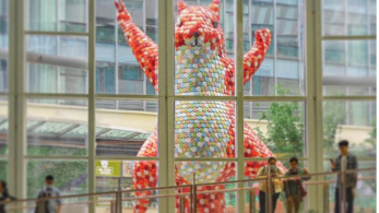 Σκίουρος ύψους 15 μέτρων κρυφοκοιτάζει μέσα σε Βοτανικό Κήπο στην Κίνα