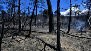 Πυροσβεστική Υπηρεσία: Θέμα χρόνου η ύφεση της πυρκαγιάς στα Γεράνεια Όρη