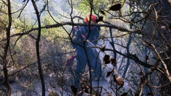 Γεράνεια Όρη: Η πιο καταστροφική πυρκαγιά της δεκαετίας