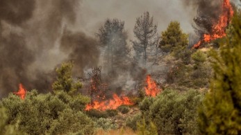 Κόρινθος: Πυρκαγιά στην περιοχή Καλαμάκι – Δεν υπάρχει άμεσος κίνδυνος για κατοικίες