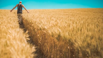 Δάνεια έως 200.000 ευρώ για αγρότες και μεταποίηση από το Ταμείο Εγγυήσεων