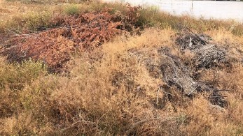 Πόρτο Ράφτη:  Βραδυφλεγής βόμβα τα αμάζευτα κλαδιά και τα ξερά χόρτα