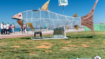 Σάββας: Ο «καρχαρίας» που «τρώει» πλαστικά στον Άλιμο