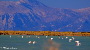Ιόνιο Πανεπιστήμιο: Αλλάζει τον χάρτη της τουριστικής προβολής με …avatars