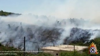 Βίντεο από τη φωτιά στον Βαρνάβα-57 πυρκαγιές σ’ ένα 24ωρο