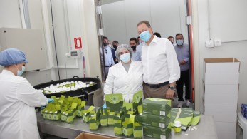 Λιβανός: Η Ένωση Μαστιχοπαραγωγών Χίου ηγέτιδα δύναμη-Η ανάπτυξη έρχεται από περιφέρεια