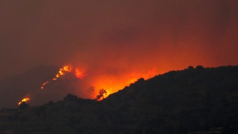 Σήμερα μεταφέρονται οι σοροί των 4 Αιγυπτίων που κάηκαν στη Κύπρο