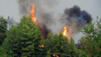 Πυρκαγιά σε δασική έκταση στην Κυπαρίσσια Μεγαλόπολης – Ενισχύονται οι πυροσβεστικές δυνάμεις