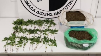 Δενδρύλλια κάνναβης και “πειραγμένοι” ταχογράφοι