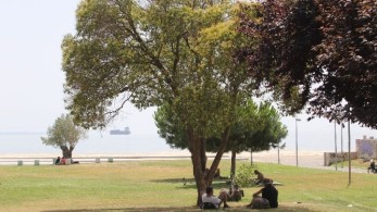 Καιρός: Επιμένει ο καύσωνας-Πού θα “χτυπήσει” 40άρια το θερμόμετρο