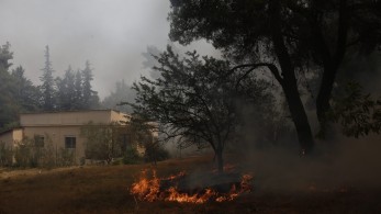 Στ. Πέτσας: Αν δεν είχε γίνει καθαρισμός το Μάιο , θα είχαμε νέο «Μάτι» στη Σταμάτα…