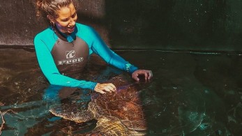 Αλεξάνδρα Παναγιώτου: Η φύλακας- άγγελος για τον Μπομπ και άλλες θαλάσσιες χελώνες στη Νότια Αφρική