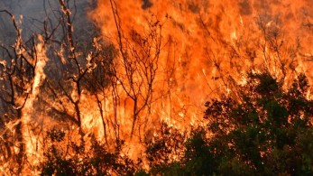 Φωτιά: Εκκένωση χωριού στην Επίδαυρο-Μήνυμα του 112