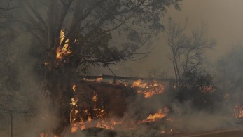 Αχαΐα: Η φωτιά κινείται σε μη οικιστικούς ιστούς