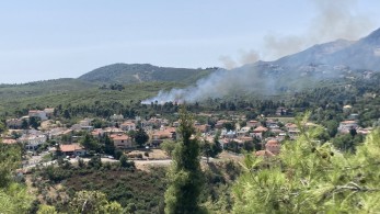 Πυρκαγιά στη Σταμάτα, κοντά σε κατοικίες-Εκκενώθηκε ο οικισμός Γαλήνη
