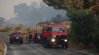 Αχαΐα: Ολονύχτια μάχη με τις φλόγες – Υπό έλεγχο το μέτωπο στο Λόγγο, επιστρέφουν οι κάτοικοι
